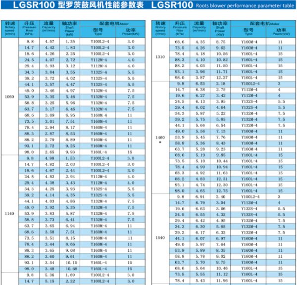 Roots blower specifications LGSR100